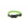 thumbnail image 1 of Pet Attire by Coastal Small 8-12" Black Lime Skulls Neoprene Overlay Adjustable Dog Collar, 1 of 2