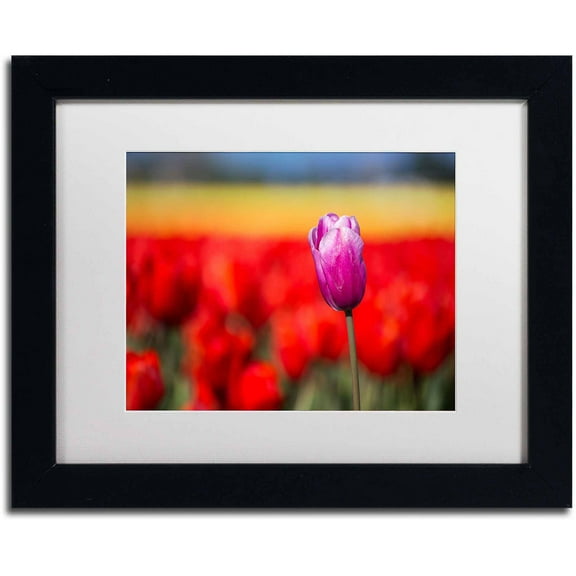 Trademark Fine Art "Purple Tulip" Canvas Art by Pierre Leclerc, White Matte/Black Frame