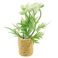 thumbnail image 2 of Mini Potted Plant Miniature Bonsai Mini Bonsai Craft Mini House Plant Ornament, 2 of 7