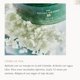 thumbnail image 4 of Exfoliante corporal Rituals The Ritual of Jing Relaxing, 310 ml, unisex, 4 of 5