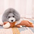 thumbnail image 5 of Designed for Chewers, Durable Squeaky Dog Toys,Unbreakable Robust Stuffed Plush Toys for Small Dogs, 5 of 5