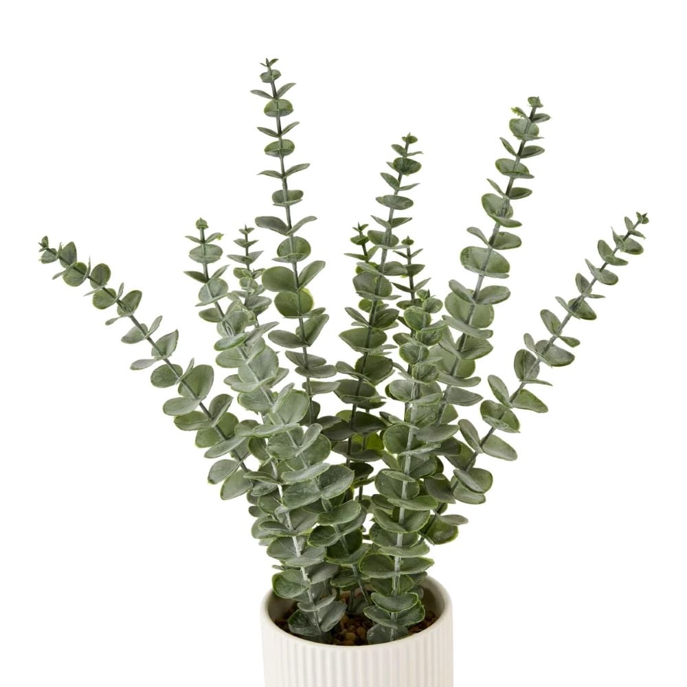 Anko Art Eucalyptus In Pot