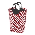 thumbnail image 1 of DouZhe 50L Rectangular Laundry Basket, Red Zebra Texture Prints Waterproof Foldable Laundry Hamper with Aluminum Handles, 1 of 6