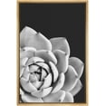 thumbnail image 3 of PixonSign Framed Wall Art Print Set Gray Rose Succulent Floral Cactus Photography Modern Art Chic Relax/Calm Grey Dark Black and White for Living Room, Bedroom, Office - 16"x24" Natural, 3 of 5