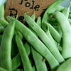 Kentucky Wonder Pole Bean Seed 1/2 OZ ~30 Seeds - Non-GMO Open Pollinated Heirloom Vegetable Gardening Seeds