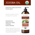 thumbnail image 2 of ORS HAIRepair Acondicionador restaurador de aceite de coco y baobab 12.5 oz (paquete de 1), 2 of 5