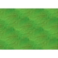 thumbnail image 1 of Ahgly Company Indoor Rectangle Patterned Dark Lime Green Area Rugs, 2' x 4', 1 of 6
