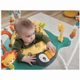 thumbnail image 4 of Fisher Price Cute Leopard Jumperoo HND47, 4 of 9