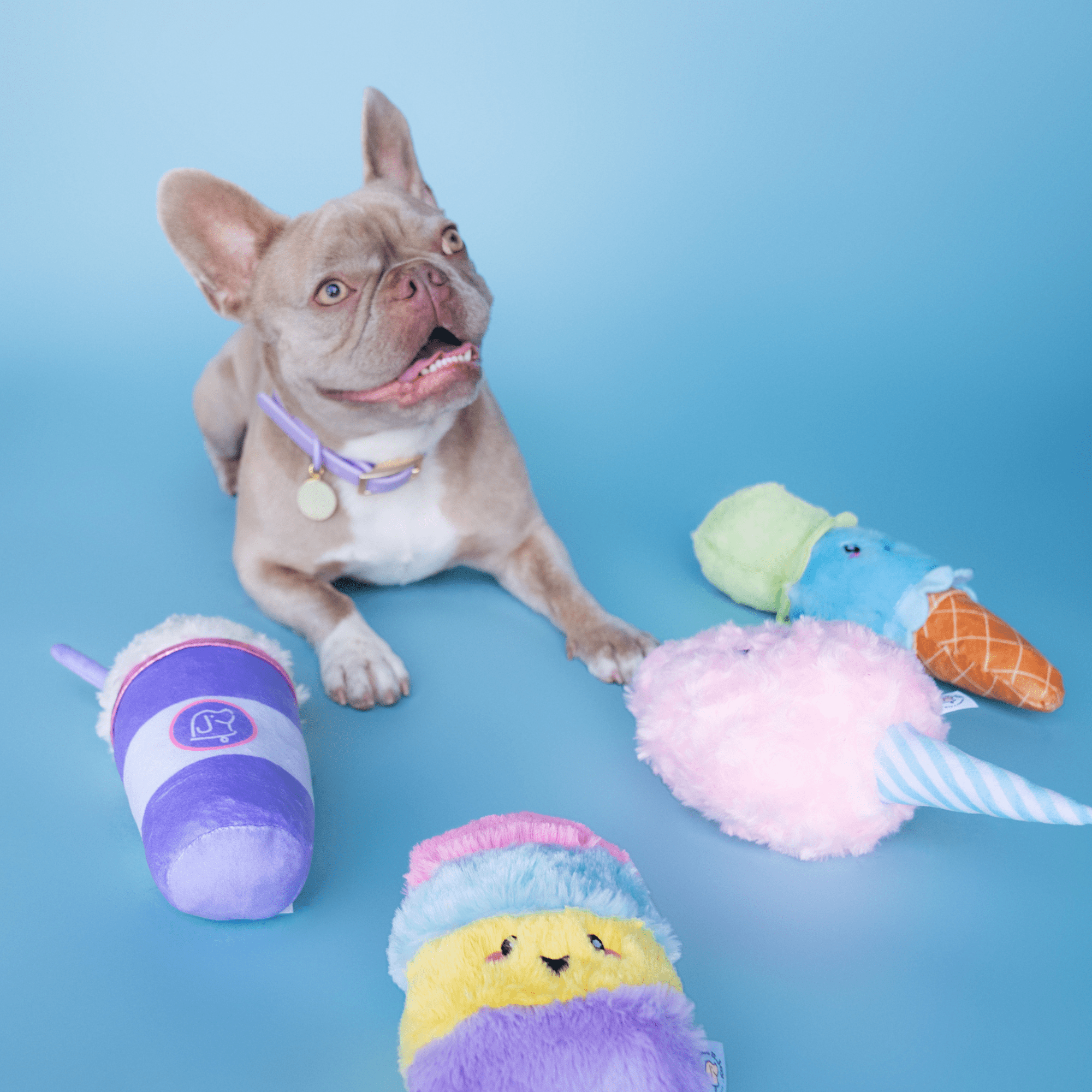 Bundle x Joy Poppin Popsicle Plush for Dogs with Squeaker, Crinkle & Softness for Added Joy