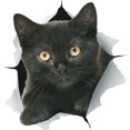 thumbnail image 1 of Pegatinas de Gato 3D NQ Paquete de 2 Calcomanías de Pared de Gato Negro, 1 of 5