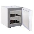 thumbnail image 1 of BeesClover Digital Lab Incubator with PID Control, 5 to 65°c Tabletop Incubator for Microbiology, Seed Germination, Egg Hatching, Medical Science, 1 of 8