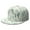 Cactus (166)-new_6, variant on Cactus Snapback Hat Hip Hop Style Colorful Flat Bill Hats Teens Adjustable Baseball Cap for Social Gatherings