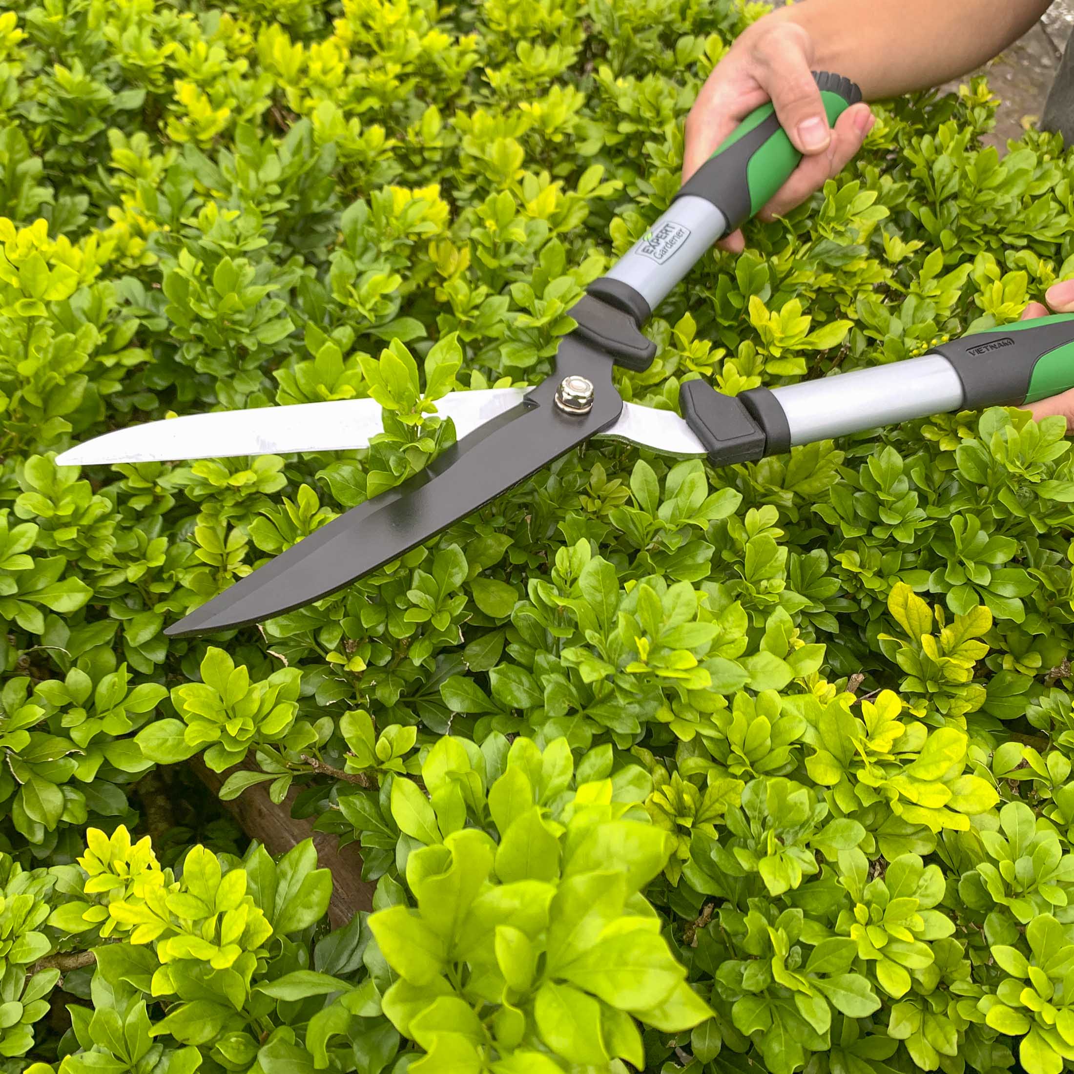 Expert Gardener 20 Inch Hedge Shear photo 6
