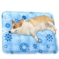 Water Injection Required Dog Cool Down Mat For Dogs Self Dog Cool Pad