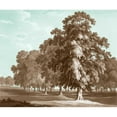 thumbnail image 3 of Kennion, Edward 17x15 Black Modern Framed Museum Art Print Titled - Serene Trees II, 3 of 5