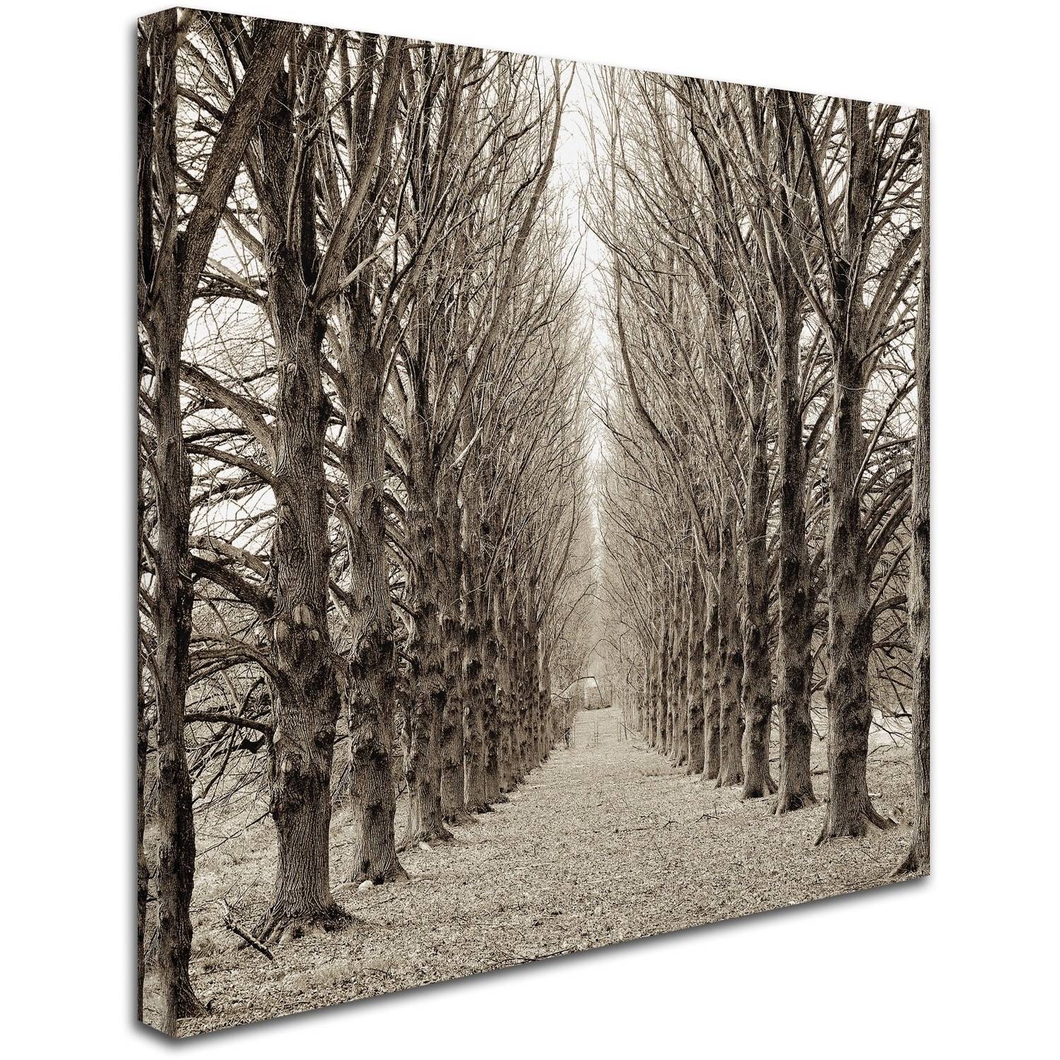 Trademark Fine Art "Hampton Gates Promenade III" Canvas Art by Alan Blaustein