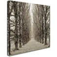 thumbnail image 2 of Trademark Fine Art "Hampton Gates Promenade III" Canvas Art by Alan Blaustein, 2 of 3