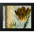 thumbnail image 2 of Simons 24x20 Black Modern Framed Museum Art Print Titled - Desert Flower, 2 of 5