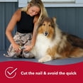 thumbnail image 5 of Safari Dog Professional Nail Trimmer, 5 of 6