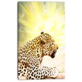 thumbnail image 2 of Ferocious Leopard At Sunrise - Animal Canvas Art Print, 2 of 3