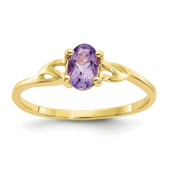 10k Yellow Gold Amethyst Birthstone Ring February Gemstone
