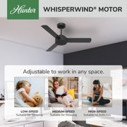 Hunter - Presto Indoor Ceiling Fan, Wall Control, 44-inch, Matte Black, Casual-style, 3-speed WhisperWind Motor, 51847, for Living Rooms, Bedrooms