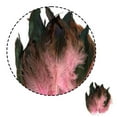 thumbnail image 3 of Enqiretly 50pcs Feather Accessories For Clothes Wide Application Eco-friendly And Durable Red, 3 of 5