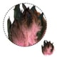 thumbnail image 3 of Moyic 50 Uds plumas de gallo naturales exquisita artesanía accesorios salvajes y elegantes plumas de pollo Boho Tela de costura y artesanía Rosa, 3 of 5