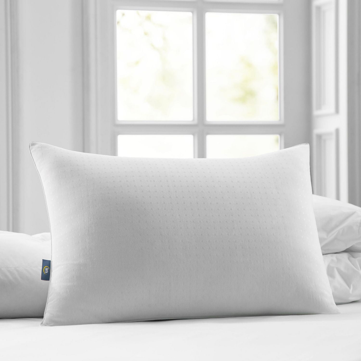 Sertapedic Won't Go Flat Bed Pillow, 300 Thread Count Pillow