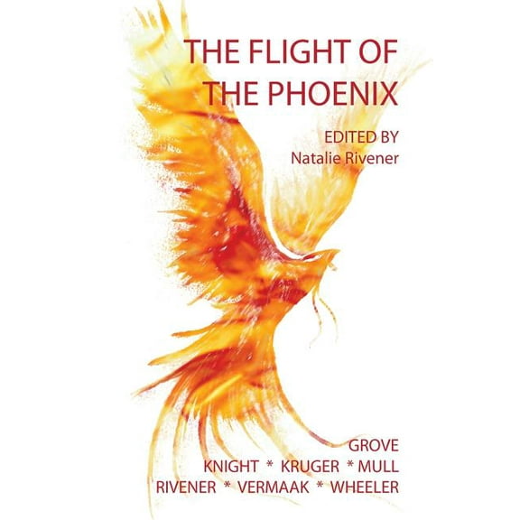 The Flight of the Phoenix (Paperback)