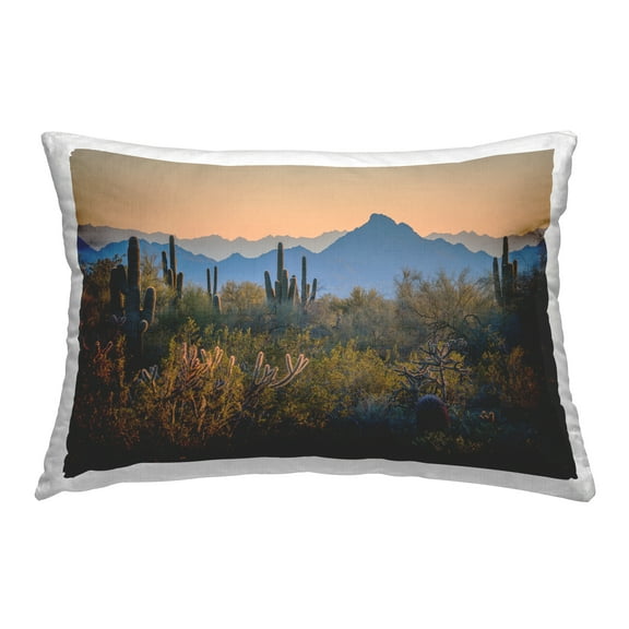 Stupell Industries Contrasting Desertscape Scene Decorative Printed Throw Pillow Design by Marty Hulsebos.