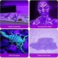 thumbnail image 4 of 2 Pack UV Flashlight, 12 LED Handheld Blacklight Flashlight 395nm Mini Light Torch Detector for Dog Pet Urine Stains, Bed Bugs and Scorpions. (Batteries not Included), 4 of 4