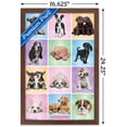 thumbnail image 3 of Keith Kimberlin - Puppies - Cuties Grid Wall Poster, 22.375" x 34", 3 of 5