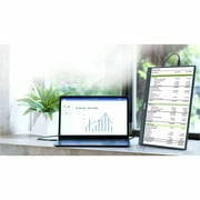 Asus ZenScreen 16\ 1920 x 1080 LED Blue Light Filter, Anti-glare Monitor, Black, MB16AHV