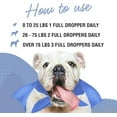 thumbnail image 4 of WONDER PAWS Melatonin for Dogs – Pet Melatonin with L-Theanine (Suntheanine®), 4 of 7