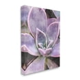 thumbnail image 3 of Purple Succulent Close Up Botanical & Floral Graphic Art Gallery Wrapped Canvas Print Wall Art, 3 of 7