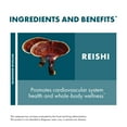 thumbnail image 4 of Host Defense Reishi Extract - 2 fl oz (60 Servings), 4 of 7