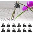 thumbnail image 2 of 100pcs Clips de plástico para orquídeas Mini Clips de soporte para plantas Garden Grow Clips rectos Fácil de usar Abrazaderas de soporte duraderas para tallos de vides de flores de jardín TUNC Sencillez, 2 of 5