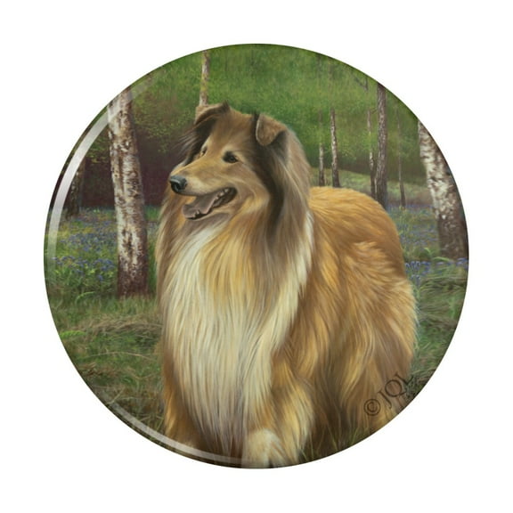 Collie Dog in the Woods Pinback Button Pin