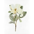 thumbnail image 3 of Stellar Design Studio 15x18 Black Modern Framed Museum Art Print Titled - White Blossom VI, 3 of 5
