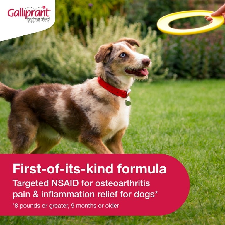 Galliprant grapiprant Tablets for Dogs 60mg Single Tablet