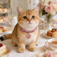 thumbnail image 5 of Heart Rhinestone Pet Collar,Adjustable Crystal Bling Collar Fashion Jewelry Collar for Small Medium Dog Cats Decorations,9.84 - 12.6 Inch,Pink, 5 of 7