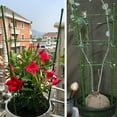 thumbnail image 3 of 2 Pieces Upgrade 17.7 inche Garden Plant Support Stand Kit, 3 of 6