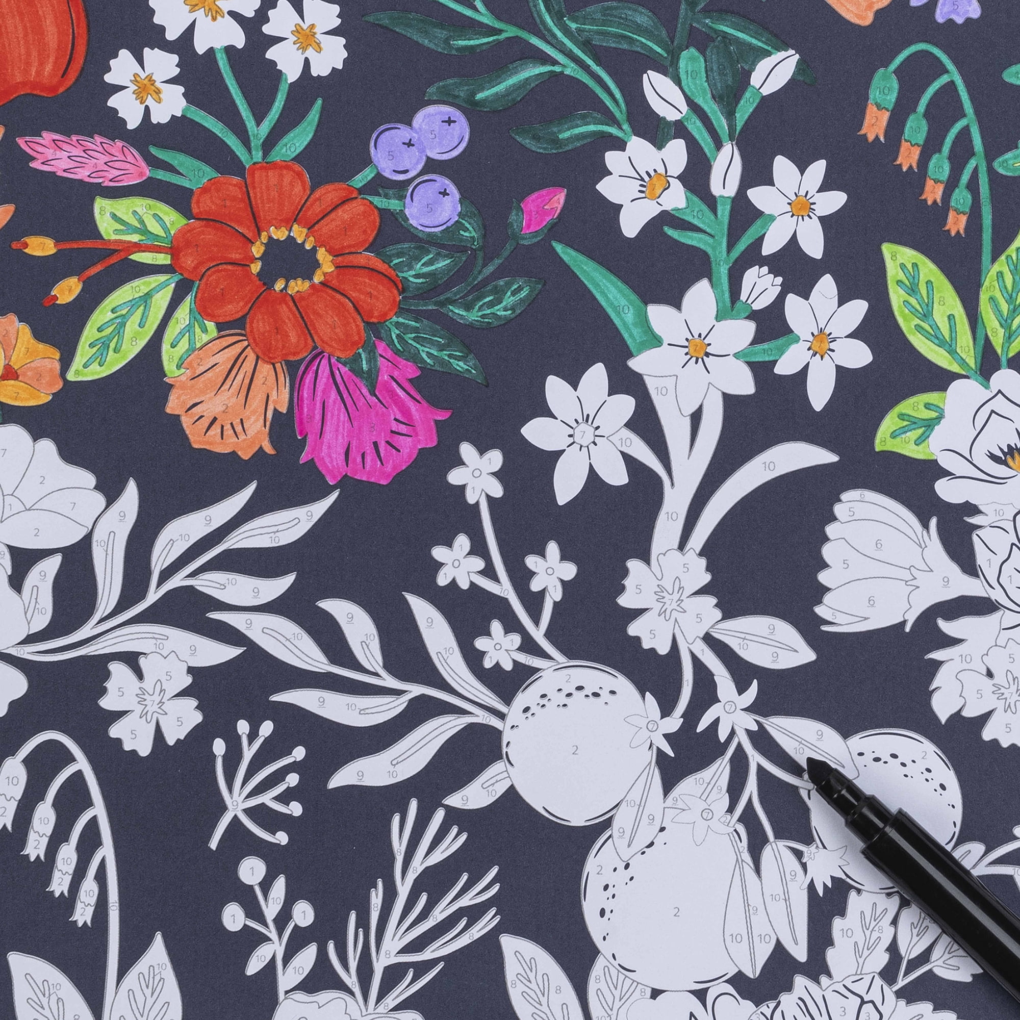 Vivid by Brea Reese: Marker Color-By-Number Kit - Whimsical Botanicals - 5 Dual-Sided Markers, 12 Coloring Pages, Nature-Animal Theme, Spiral Art Pad