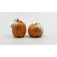 thumbnail image 3 of Ceramic Autumn Harvest Pumpkins Salt and Pepper, Home Décor, Gift for Her, Mom, Kitchen Décor, Fall Décor, Thanksgiving, 3 of 4