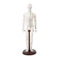 thumbnail image 2 of TISHITA Acupuncture Model 20 inch Tall with Stand PVC Versatile Human Practice Model Male Hard, 2 of 8