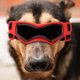 thumbnail image 5 of Gafas Para Perros, Elegantes Gafas De Sol Ajustables Para Perros, Protección UV Para Conducir, 5 of 7