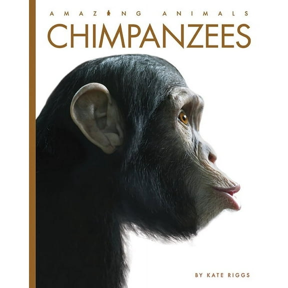 Amazing Animals Chimpanzees, (Paperback)