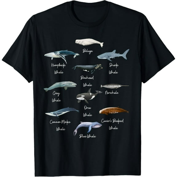 Types Of Whales Watercollor Cute Ocean Mammals Guide T-ShirtMen and women, Black T-shirt, size: Extra large