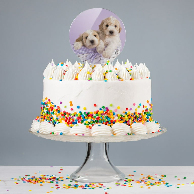 Cockapoo birthday cake 2025